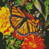 Marigolds With Butterfly Diamond Paintings