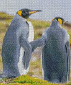 Grey Penguins Diamond Paintings