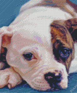 American Bulldog Puppy Diamond Paintings