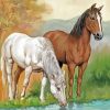 Horses Drinking Water Diamond Paintings