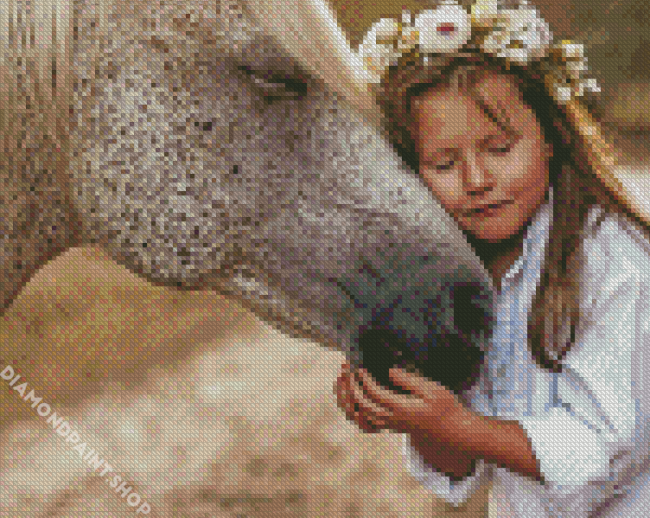 Girl With Horse Diamond Paintings
