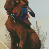 Boykin Spaniel Dog Diamond Paintings