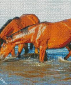 Horses Drinking Diamond Paintings