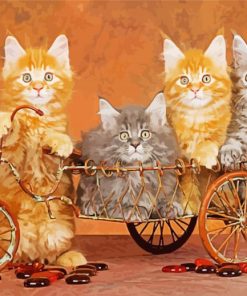 Cats On Bicycle Art Diamond Paintings