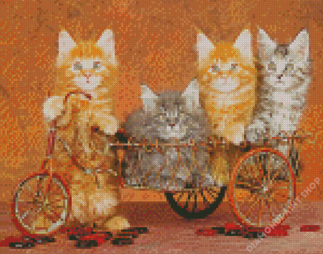 Cats On Bicycle Art Diamond Paintings