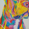 Colorful Staffy Dog Diamond Paintings
