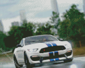 Ford Shelby GT350R Diamond Paintings
