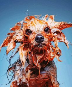 Funny Wet Dog Diamond Paintings