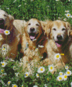 Golden Retrievers Puppies Diamond Paintings