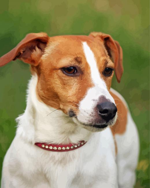 Jack Russell Terrier Diamond Paintings