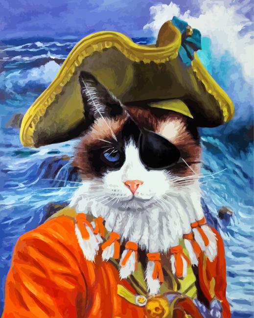 Pirat Cat Diamond Paintings