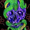 Skull With Green Snake Diamond Paintings