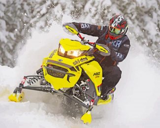 Snowmobile Rider Diamond Paintings