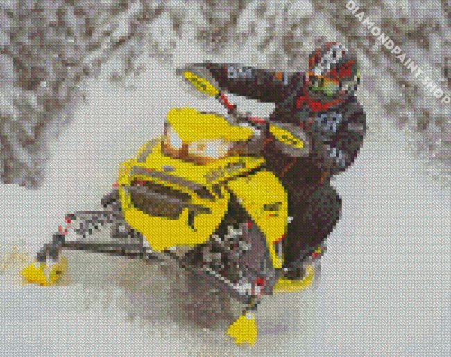 Snowmobile Rider Diamond Paintings