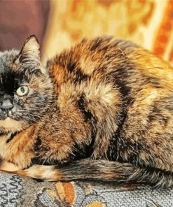 Tortoiseshelle Cat Diamond Paintings