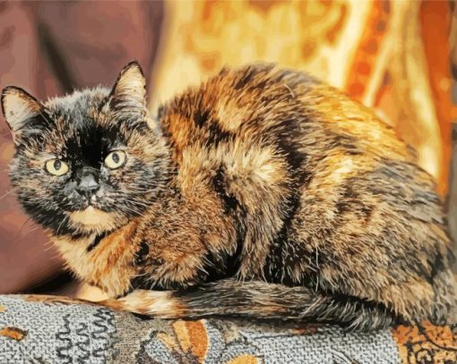 Tortoiseshelle Cat Diamond Paintings