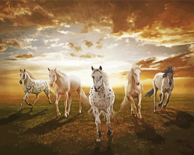 White Five Horses Diamond Paintings