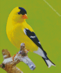 Yellow Finche Bird Diamond Paintings