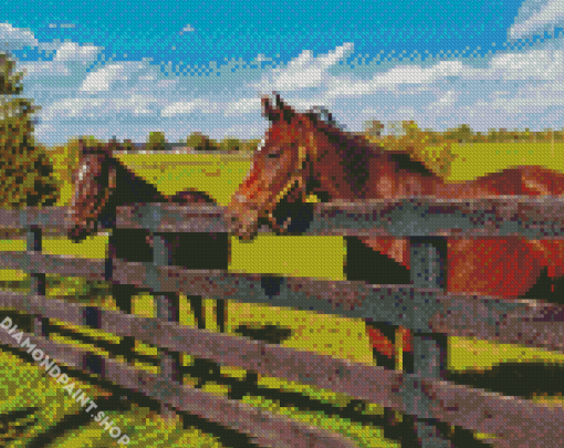 Farm Horses Diamond Paintings