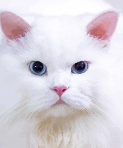 White Persian Kitty Diamond Paintings