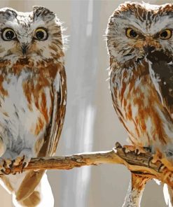 Couple Owl Diamond Paintings