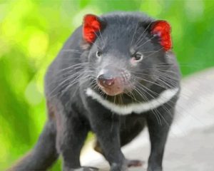 Tasmanian Devil Diamond Paintings