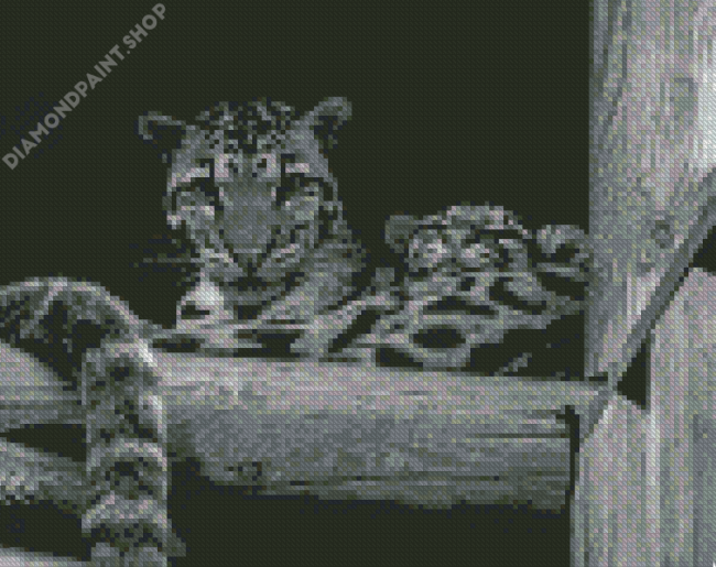 Monochrome Baby Tiger Diamond Paintings