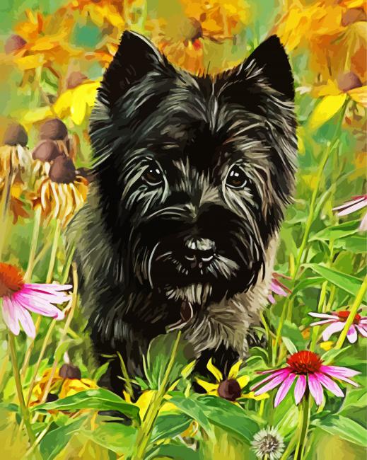 Cairn Terrier Dog Diamond Paintings