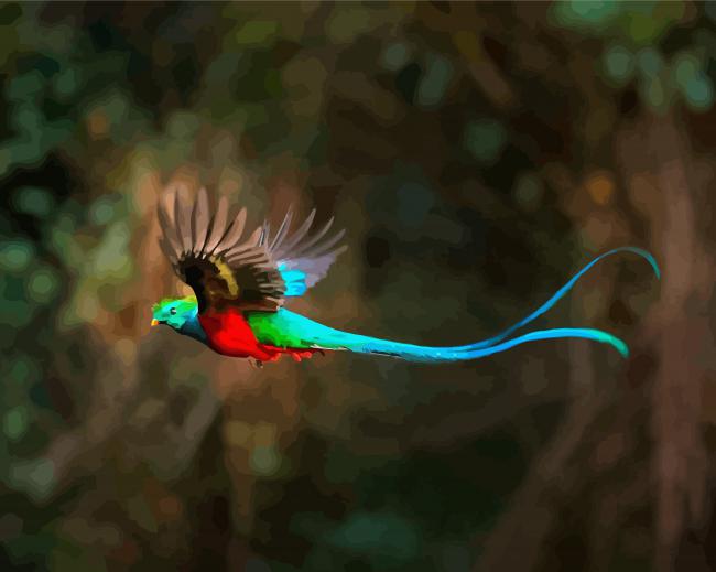 Blue Tail Quetzal Diamond Paintings