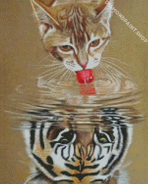 Cat Reflection - Diamond Paintings 