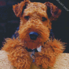 Cute Welsh Terrier Diamond Paintings