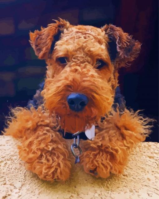 Cute Welsh Terrier Diamond Paintings