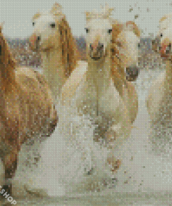 White Horses In Water Diamond Paintings