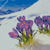 Flowers In Snow Diamond Paintings