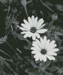 Monochrome Flowers Diamond Paintings