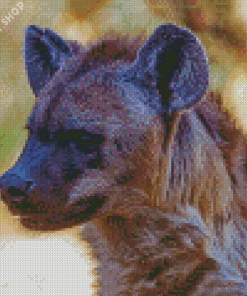 Animal Spotted Hyena Diamond Paintings