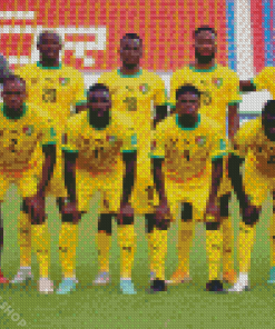 Togo Football Team Diamond Paintings