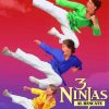 3 Ninja Movie Poster Diamond Paintings