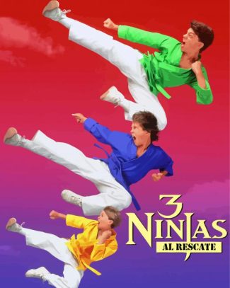 3 Ninja Movie Poster Diamond Paintings