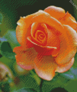 Adorable Peach Rose Diamond Paintings