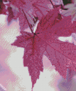 Autumn Purple Leaf Diamond Paintings