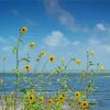 Aesthetic Sunflowers In Beach Diamond Paintings