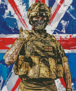 British Army Soldier Diamond By Paintings