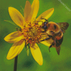 Bumble Bee Diamond By Paintings