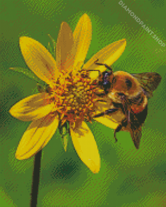 Bumble Bee Diamond By Paintings