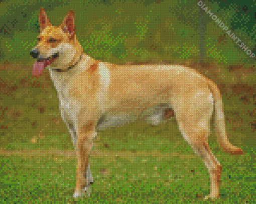 Carolina Dog Diamond By Paintings