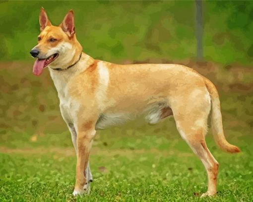 Carolina Dog Diamond By Paintings