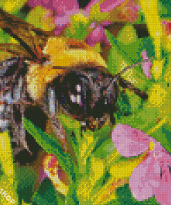 Close Up Bumble Bee Diamond By Paintings