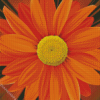 Close Up Orange Flower Diamond Paintings