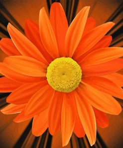 Close Up Orange Flower Diamond Paintings
